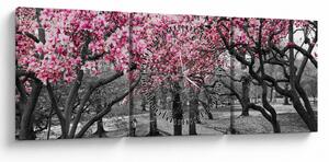 Slika drveća magnolije (sa satom) (90x30 cm)