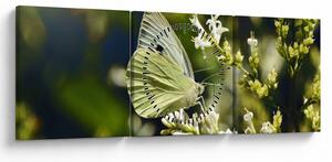 Slika leptira (sa satom) (90x30 cm)