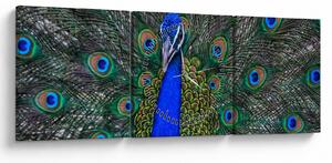 Slika - Paun (sa satom) (90x30 cm)