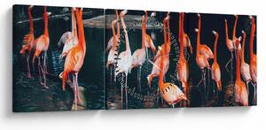 Slika jata flaminga (sa satom) (90x30 cm)