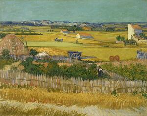 Reprodukcija The Harvest, 1888, Vincent van Gogh