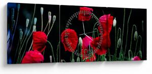 Slika - Ples makova (sa satom) (90x30 cm)