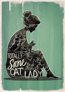 Ilustracija Totally Sane Cat Lady, Andreas Magnusson, (30 x 40 cm)