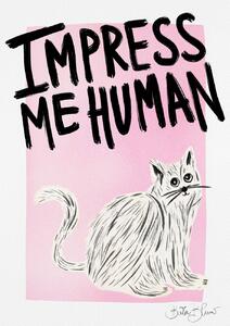 Ilustracija Cat Owner - Impress Me Human, Baroo Bloom, (30 x 40 cm)