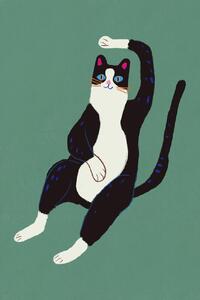 Ilustracija Black and white cat, Little Dean, (26.7 x 40 cm)