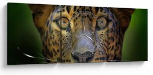 Slika - Portret leoparda, Šri Lanka (sa satom) (90x30 cm)