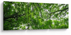 Slika - Pogled u krošnje drveća (sa satom) (90x30 cm)