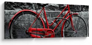Slika - Povijesni bicikl (sa satom) (90x30 cm)