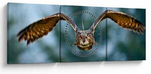 Slika - Sova u letu (sa satom) (90x30 cm)