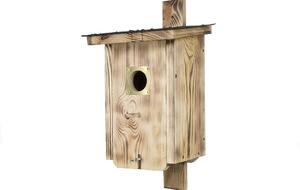 ATMOWOOD Drvena kućica za ptice od opaljenog drva