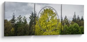 Slika zelenog stabla usred polja (sa satom) (90x30 cm)