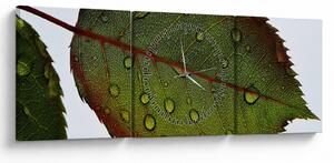 Slika - List ruže (sa satom) (90x30 cm)