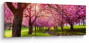 Slika procvjetalih trešanja, Hurd Park, Dover, New Jersey (sa satom) (90x30 cm)