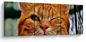 Slika mačke koja namiguje (sa satom) (90x30 cm)