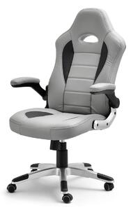 Zondo.hr Gaming stolica Race (siva). 1110529