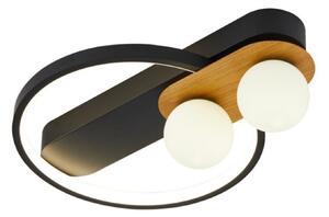 22767 STROPNA SVJETILJKA LED 24W + 2xG9 DRVO 4000K