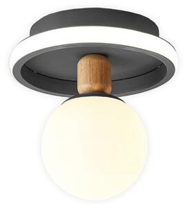 22089 STROPNA SVJETILJKA LED 31W + E27 TRI BOJE SVJETLA 3000-6500K