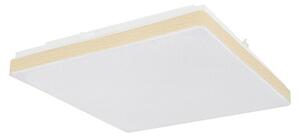 Globo LED stropna svjetiljka Raina (12 W, D x Š x V: 33 x 33 x 6 cm, BIjela, Topla bijela)