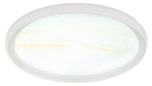 Globo Okrugla stropna LED svjetiljka Tyler (24 W, Ø x V: 385 cm x 80 mm, Bijela, Neutralno bijelo)