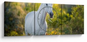 Slika belega konja na travniku (sa satom) (90x30 cm)