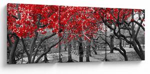 Slika - Rdeča drevesa, Central Park, New York (sa satom) (90x30 cm)