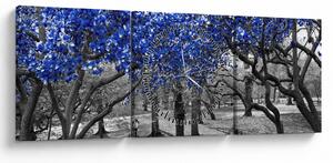 Slika - Modra drevesa, Central Park, New York (sa satom) (90x30 cm)