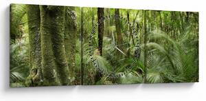 Slika tropskega deževnega gozda (sa satom) (90x30 cm)