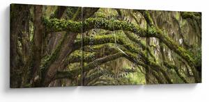 Slika - Oaks Avenue, Charleston, Južna Karolina, ZDA (sa satom) (90x30 cm)