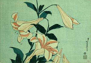 Reprodukcija Trumpet Lilies, Hokusai, Katsushika