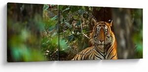 Slika počivajočega tigra (sa satom) (90x30 cm)
