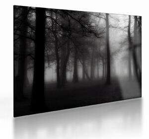 Staklena slika - Gozd v megli (70x50 cm)