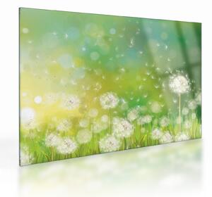 Staklena slika - Odcveteli regrat (70x50 cm)