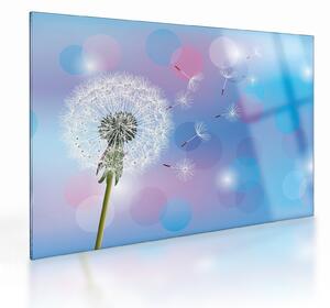Staklena slika - Regrat v vetru (70x50 cm)