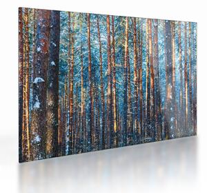 Staklena slika - Zimski gozd (70x50 cm)