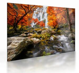 Staklena slika - Slapovi v oranžnem gozdu (70x50 cm)