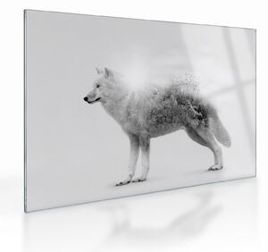Staklena slika - Arktični volk zrcali divjo pokrajino, črno-belo (70x50 cm)