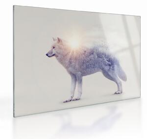 Staklena slika - Arktični volk zrcali divjo pokrajino (70x50 cm)