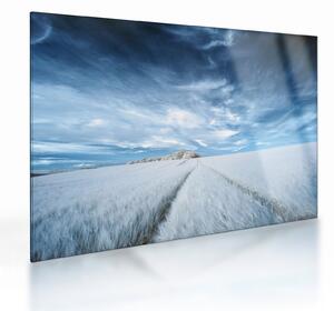 Staklena slika polja (70x50 cm)