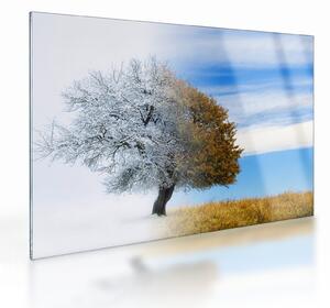 Staklena slika - Sprememba sezone (70x50 cm)