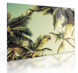 Staklena slika s kokosovimi palmami (70x50 cm)