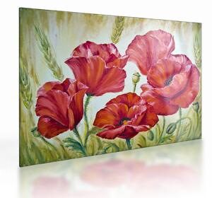 Staklena slika - Cvetovi maka (70x50 cm)