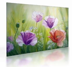 Staklena slika - Makovi (70x50 cm)