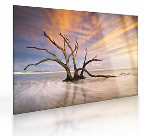 Staklena slika drevesa v oceanu (70x50 cm)