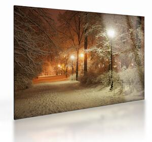 Staklena slika - Snežni park (70x50 cm)