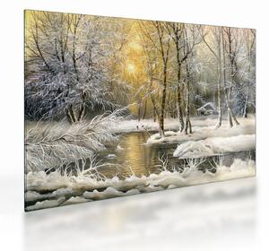 Staklena slika - Koča v gozdu, oljna slika (70x50 cm)
