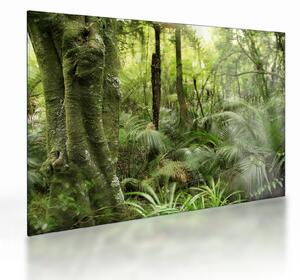 Staklena slika tropskega deževnega gozda (70x50 cm)