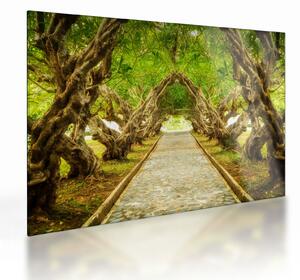 Staklena slika - Živi tunel plumerije (70x50 cm)