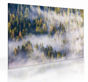 Staklena slika dreves v megli (70x50 cm)