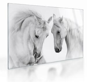 Staklena slika belih konjev (70x50 cm)
