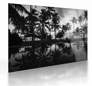 Staklena slika tropskega otoka (70x50 cm)